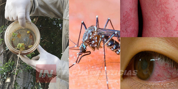 EL DENGUE LLEVA LA DELANTERA EN CASOS DE ARBOVIROSIS EN ITAPÚA - Itapúa Noticias