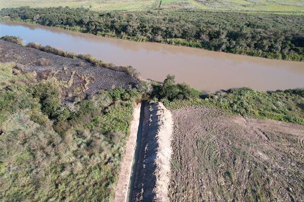 mputan a dueño de inmueble y a dos empleados por delitos ambientales - La Clave
