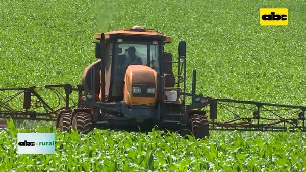Video: maíz con menor ingreso por exportación a julio de 2023 - ABC Rural - ABC Color