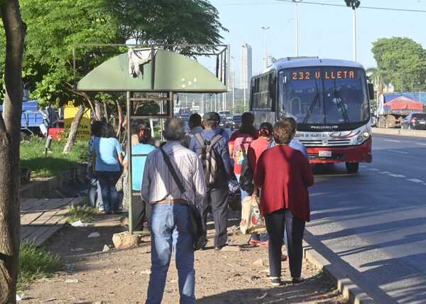 Opama: exigen prioridad a las necesidades de usuarios de transporte público - El Independiente
