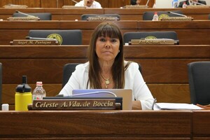La suspensión de la ex diputada, Celeste Amarilla, fue correcta, dice la Corte - La Tribuna