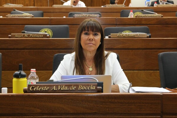La suspensión de la ex diputada, Celeste Amarilla, fue correcta, dice la Corte - La Tribuna