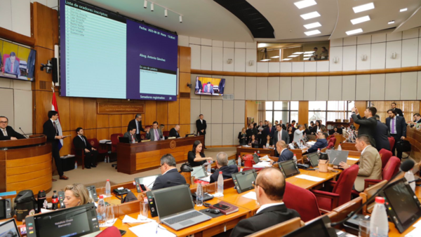 Con críticas a técnicos, Senado presta su acuerdo para designados del Gobierno en Itaipú y la EBY