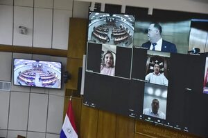 Fracasa el plan cartista contra Miguel Prieto en el Senado  - Política - ABC Color