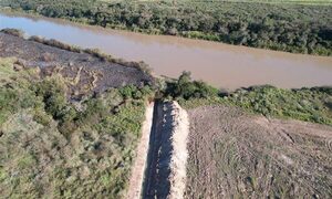 Imputan a brasileño y a dos empleados por disecar sitio inundable en Yguazú – Diario TNPRESS