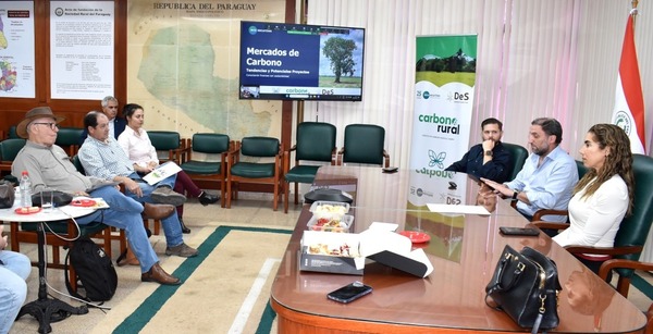 Empresa suiza obtiene permiso de crédito de carbono en Paraguay