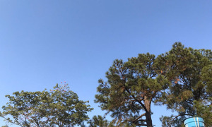 Jueves cálido a caluroso en Coronel Oviedo