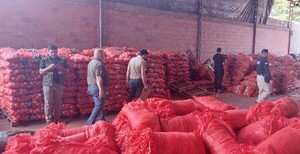 Decomisan 40.000 kilos de cebolla de contrabando - La Clave