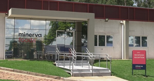 Con las nuevas plantas, Minerva pasará a tener 17 mil cabezas diarias certificadas para China
