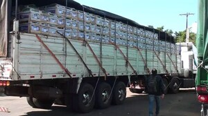 Exportación de bananas paraguayas alcanza cifras récord en Uruguay