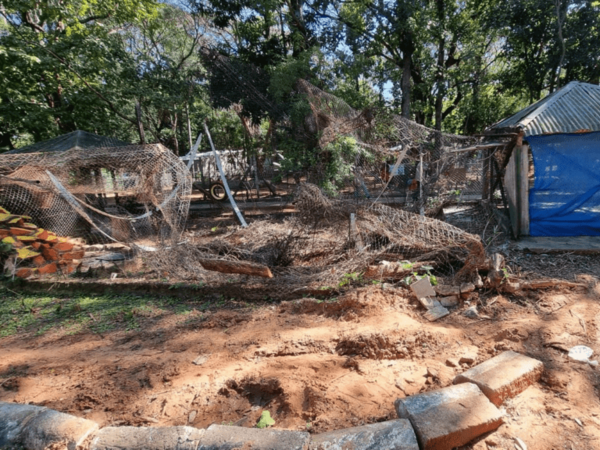 Solicitan intervención y cierre del Jardín Botánico y Zoológico de Asunción por · Radio Monumental 1080 AM