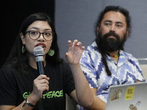 Greenpeace denuncia peligro para 481 especies y arrecifes por gasoducto en golfo de México - MarketData