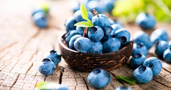 La Nación / Esta es la poderosa fruta que ayuda a prevenir el envejecimiento