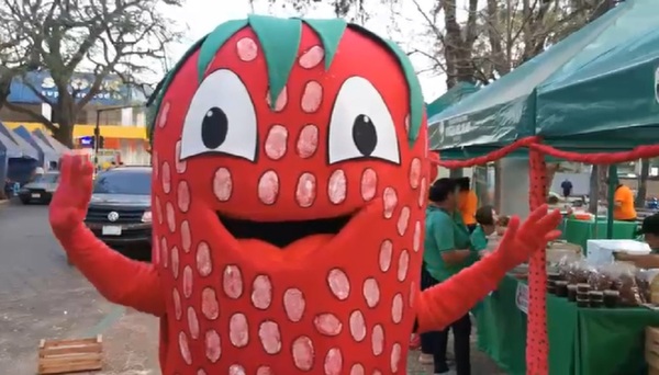 Esta mañana inició en Caaguazú la EXPO Frutilla
