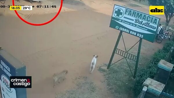 Video: Asesinan a médico frente a puesto de salud en San Pedro - Crimen y castigo - ABC Color