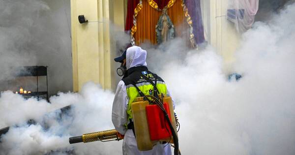 La Nación / Guatemala declara emergencia por dengue