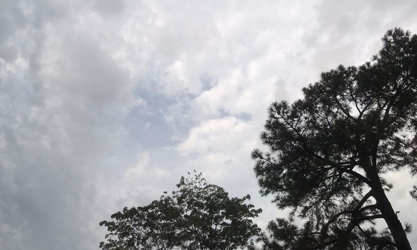 Viernes cálido con ocasionales tormentas eléctricas