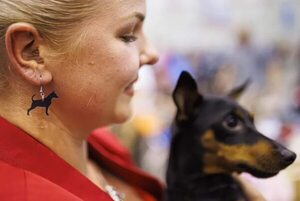 Los cerebros de los perros sintonizan mejor cuando les hablan mujeres - Mascotas - ABC Color
