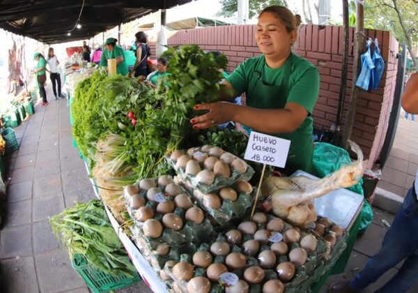 Feria de la Agricultura Familiar Campesina este sábado en el Abasto Norte de Limpio - El Independiente