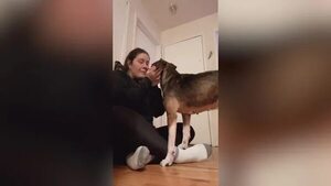 La emocionante reacción de esta cachorra tras ser adoptada - Mascotas - ABC Color