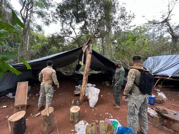 Diario HOY | Destruyen 150 toneladas de marihuana en Concepción