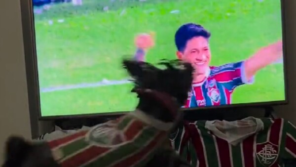 Perrita hincha del Fluminense festeja los goles ante Olimpia