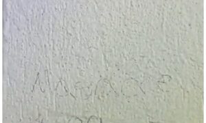 Denuncian amenaza de masacre en una escuela