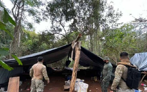 Destruyen 150 toneladas de marihuana en Concepción – Prensa 5