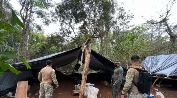 Destruyen 150 toneladas de marihuana en Concepción