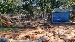 Piden intervención del Jardín Botánico y cierre temporal del Zoológico de Asunción - Nacionales - ABC Color