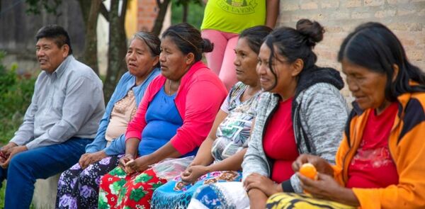En el 煤ltimo decenio la poblaci贸n ind铆gena paraguaya alcanza los 23.000 habitantes - Revista PLUS