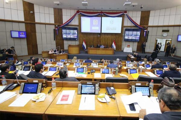 Diputados aprueban transferencia del programa de pagos de pensiones al MDS
