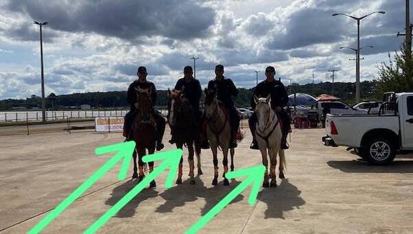 Ma'ena, rayo mató a tres caballos de la Montada en Itapúa