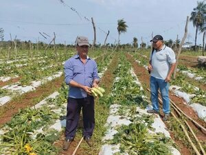 Acahay: temporal acompañado de granizos causa daños a viviendas y cultivos agrícolas - Nacionales - ABC Color