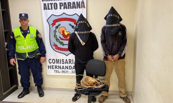 Detienen a dos rateros que robaron un motor de agua en Hernandarias – Diario TNPRESS