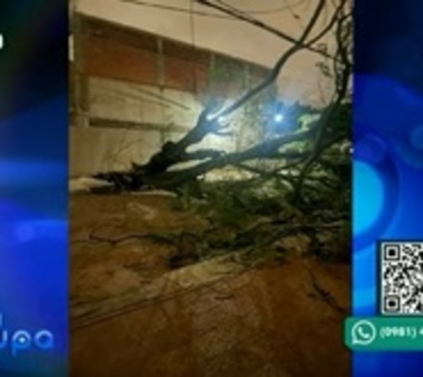Tormentas dejaron destrozos a su paso en Central - Paraguay.com