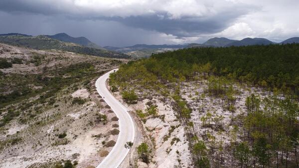 Alianza indígena convierte una zona árida en un bosque de 20 millones de árboles en México