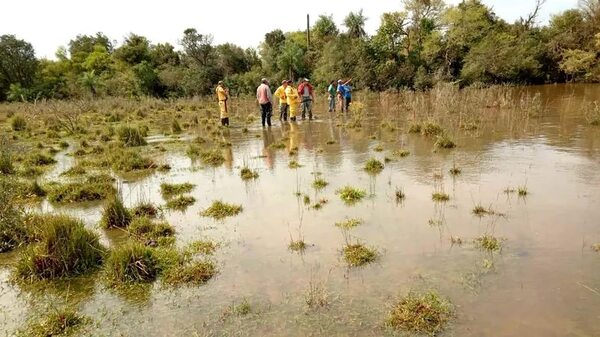 Buscan a menor de 17 años que cayó en un arroyo de Caapucú - Nacionales - ABC Color