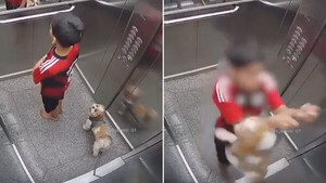 Diario HOY | VIDEO: un niño salva a su perro de morir ahorcado en un ascensor