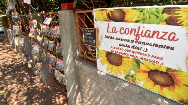La confianza, experimento social que apunta a fomentar la honradez