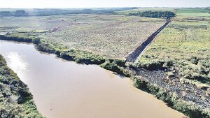 Criminal canalización del Río Monday sin licencia ambiental enluta ecosistema del Alto Paraná - PDS RADIO Y TV