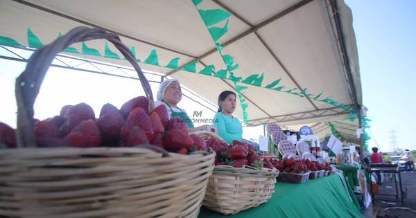 La Nación / Ferias de la agricultura familiar en la Costanera contarán con formato inclusivo