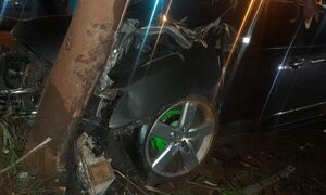Vehículo choca contra árbol
