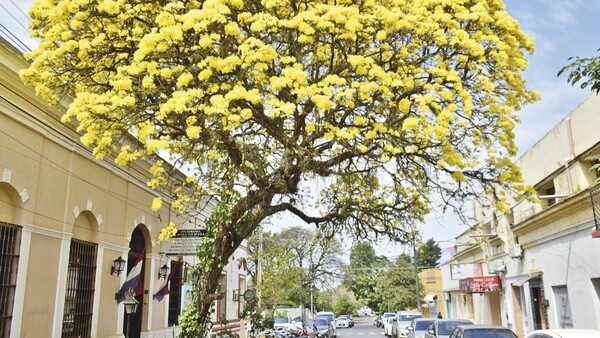 Un esplendoroso tajy hechiza a propios y extraños en Villarrica