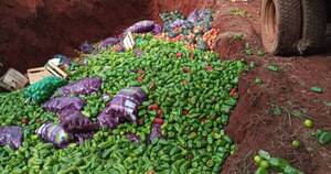 La Nación / Imputan a importador por contrabando de productos frutihortícolas