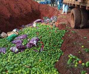 Imputan al dueño de un comercio por ingresar al país productos frutihortíclas de contrabando – Diario TNPRESS