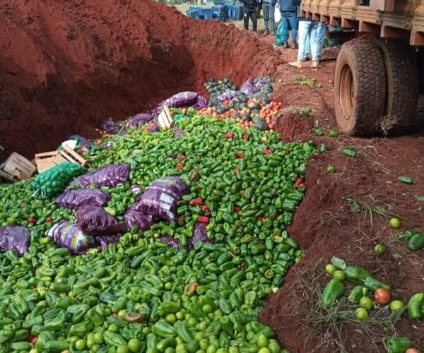 Imputan al dueño de un comercio por ingresar al país productos frutihortíclas de contrabando – Diario TNPRESS
