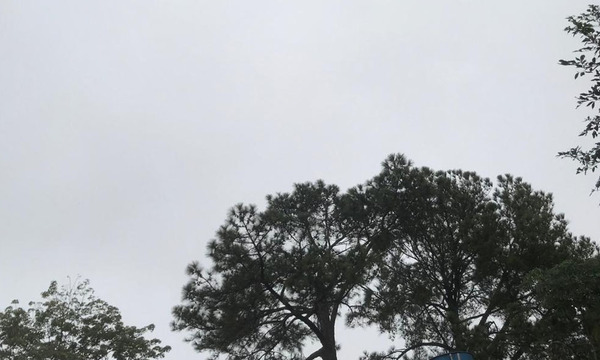 Lunes cálido a fresco con ocasionales tormentas