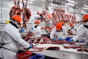 Exportación de carne bovina asciende a 220.000 toneladas en lo que va del año | OnLivePy