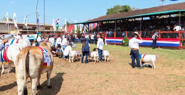 El juzgamiento de bozal de la Expo Norte fue un verdadero desfile de calidad genética